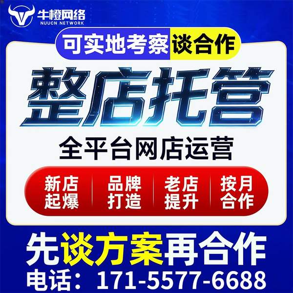 兴安盟电商代运营