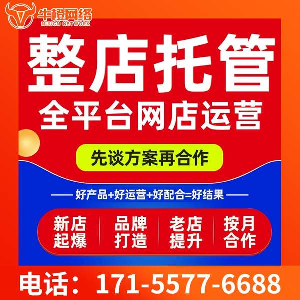 兴安盟电商代运营