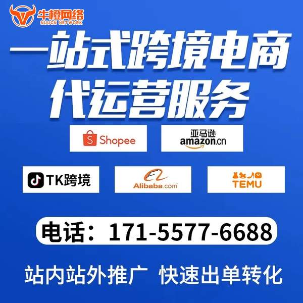 兴安盟电商代运营