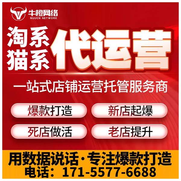 兴安盟电商代运营